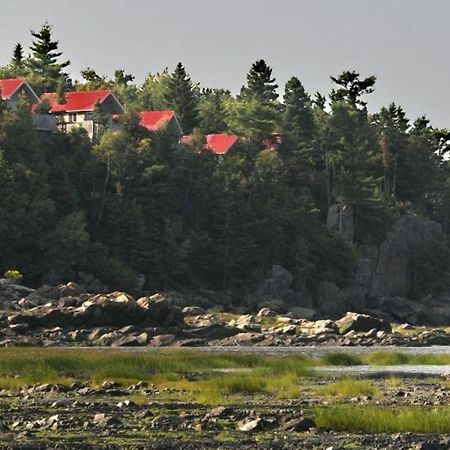 Camping & Chalets De La Demi-Lieue Hotel Saint-Jean-Port-Joli Esterno foto